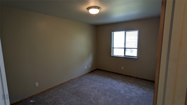 unfurnished room with carpet flooring