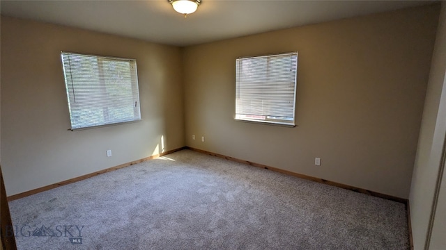 carpeted empty room with a wealth of natural light