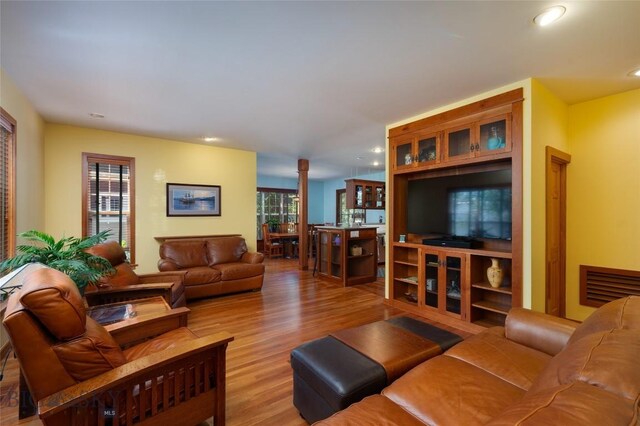 living room with light hardwood / wood-style floors and a healthy amount of sunlight