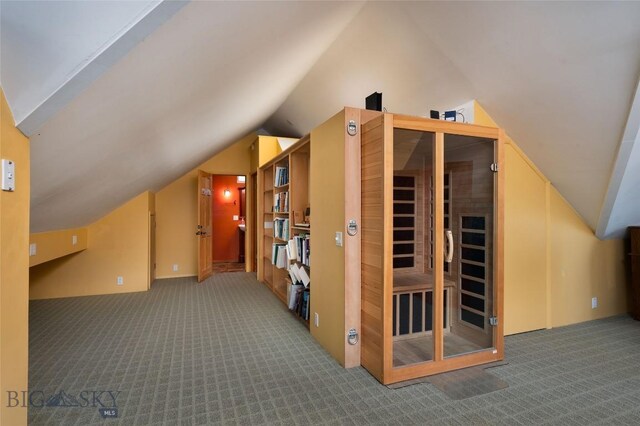 additional living space with carpet and lofted ceiling