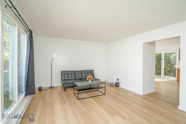 living area with light hardwood / wood-style flooring