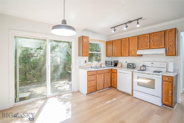 kitchen with light hardwood / wood-style floors, sink, rail lighting, pendant lighting, and white appliances