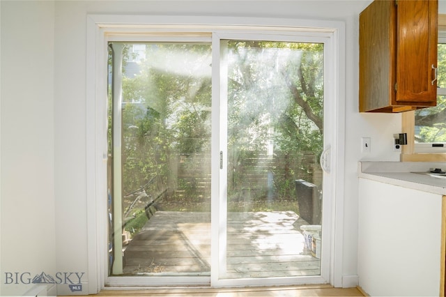 doorway with a wealth of natural light