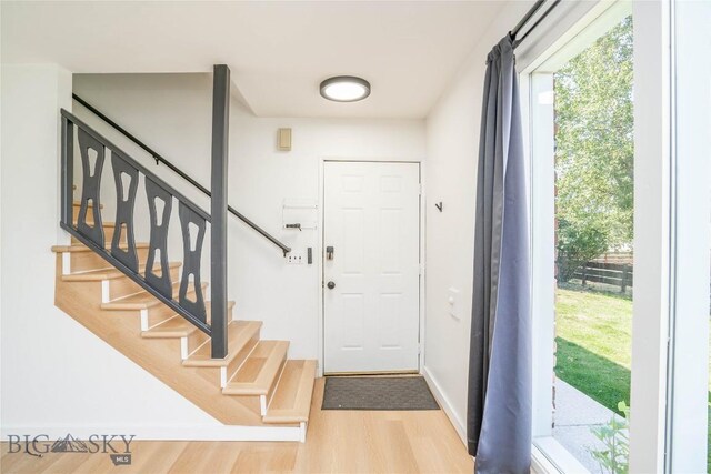 foyer with light hardwood / wood-style floors