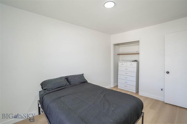 bedroom featuring light wood-type flooring and a closet