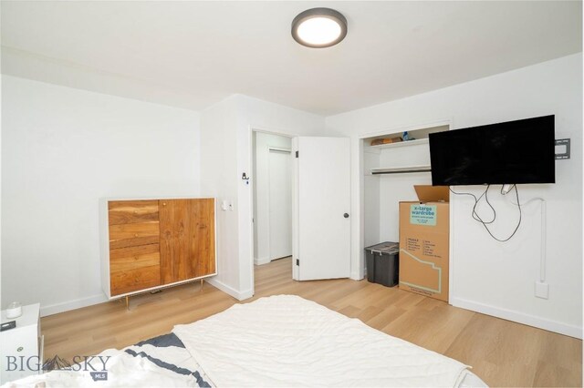 bedroom with a closet and wood-type flooring