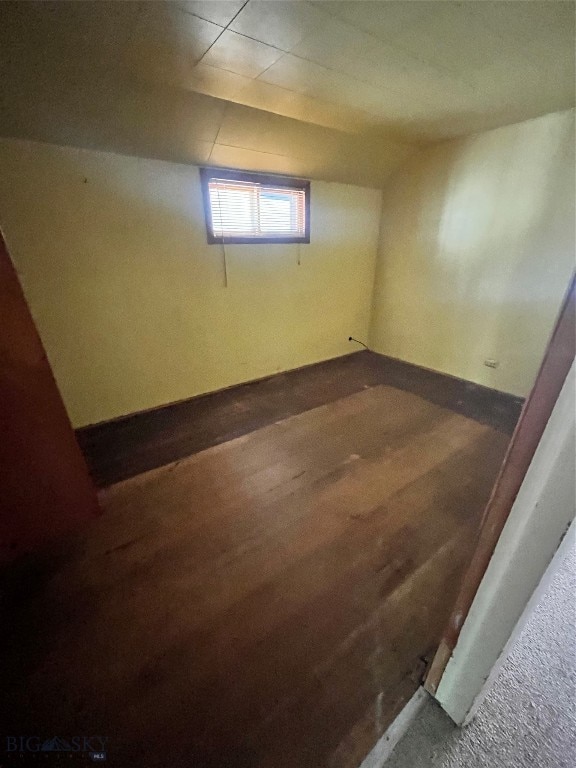 basement with hardwood / wood-style floors