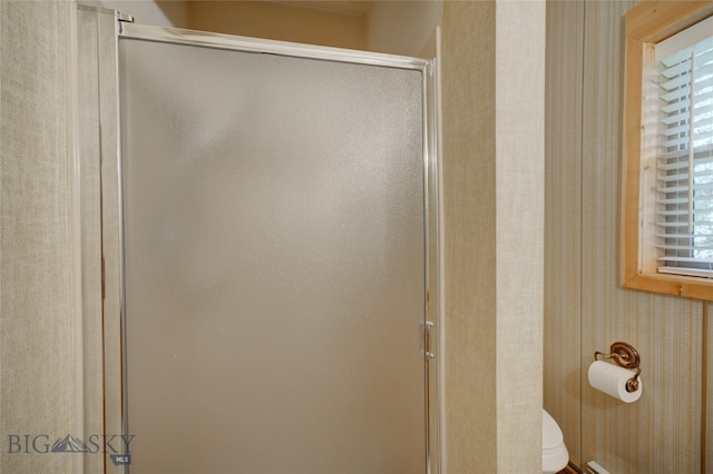 bathroom featuring plenty of natural light, toilet, and an enclosed shower