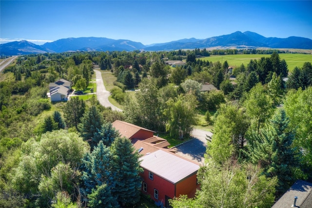 birds eye view of property featuring a mountain view