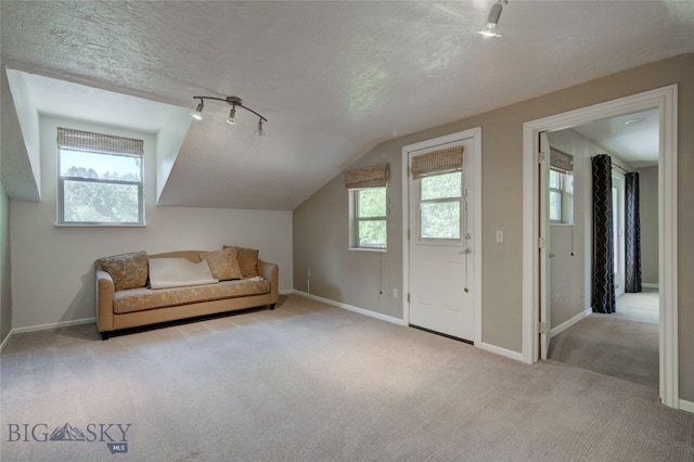 bonus room featuring vaulted ceiling, a textured ceiling, and light colored carpet