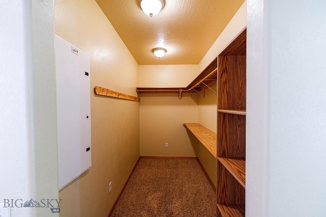 25 Amber, Dillon, MT 59725 - spacious closet featuring carpet flooring