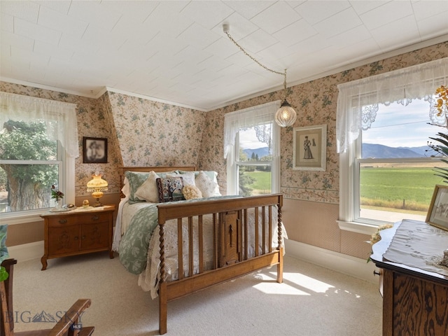 carpeted bedroom with multiple windows