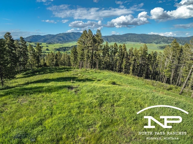 RANCH1 N Pass Rnch, Bozeman MT, 59715 land for sale