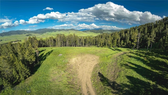 Listing photo 3 for RANCH1 N Pass Rnch, Bozeman MT 59715