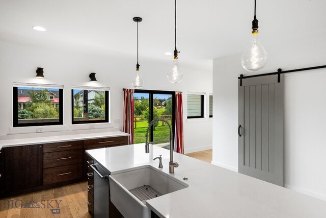 kitchen with decorative light fixtures, a barn door, light hardwood / wood-style flooring, and sink