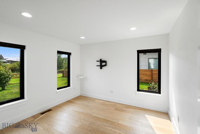 spare room with light hardwood / wood-style floors and plenty of natural light