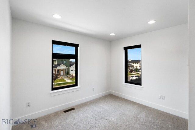 spare room featuring carpet flooring and a healthy amount of sunlight