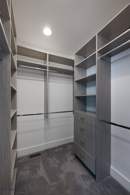 walk in closet with dark colored carpet