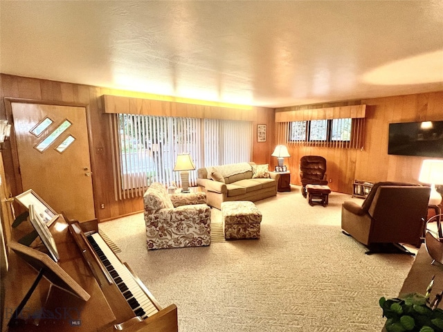 living room featuring wooden walls and carpet