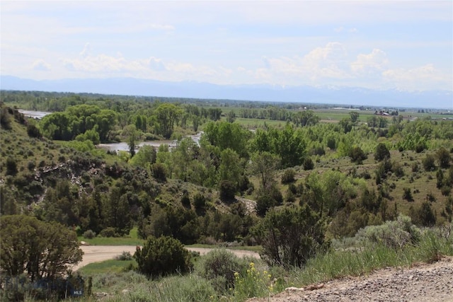 LOT6 Horseshoe Gulch Rd, Manhattan, MT 59741