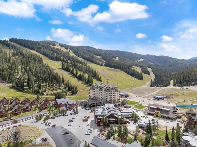 birds eye view of property with a mountain view