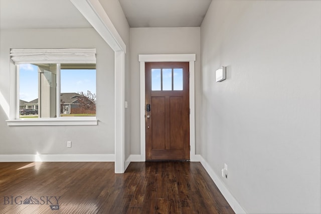 foyer featuring dark hardwood / wood-style flooring