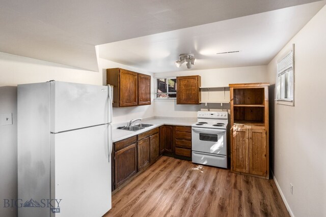 kitchen with white appliances, a wealth of natural light, light hardwood / wood-style flooring, and sink