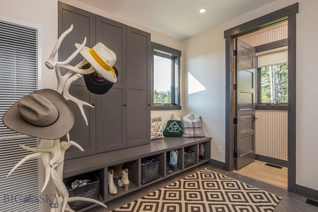 mudroom featuring wood-type flooring