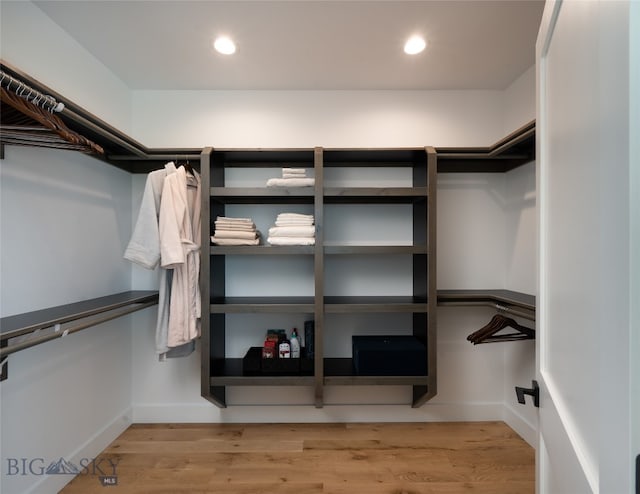 spacious closet featuring light hardwood / wood-style flooring