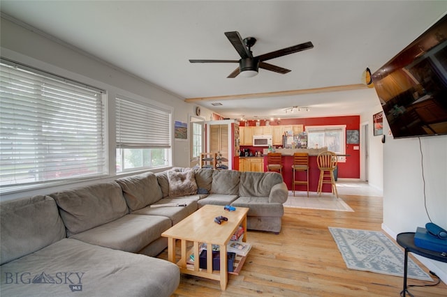 living room featuring ceiling fan and light wood-type flooring