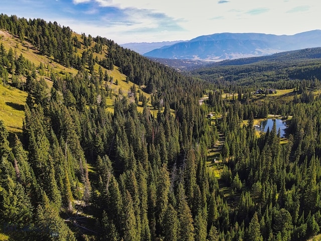 Listing photo 2 for TBD Upper Beaver Creek Rd, Big Sky MT 59730