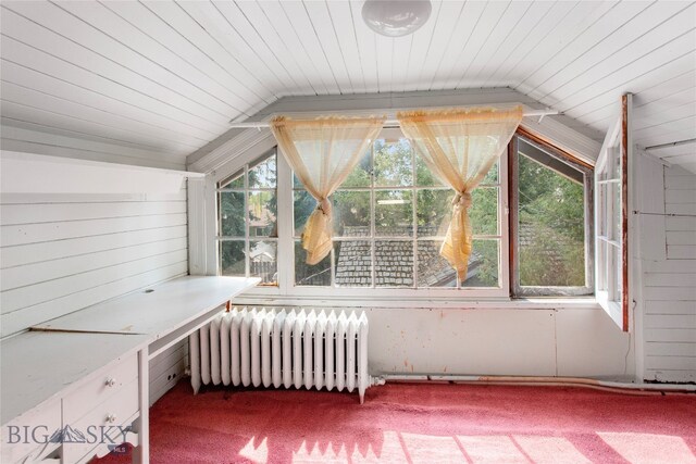 exterior space with lofted ceiling, a healthy amount of sunlight, radiator heating unit, and carpet floors