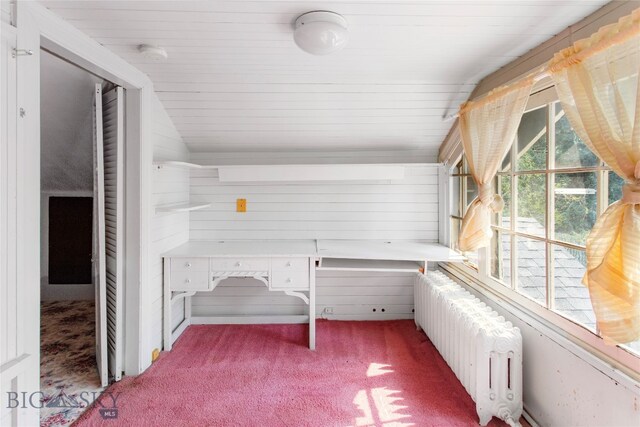 unfurnished sunroom featuring vaulted ceiling and radiator