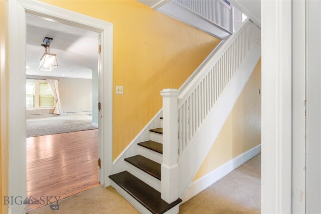 stairs with carpet flooring