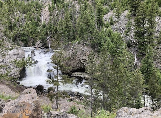 view of local wilderness