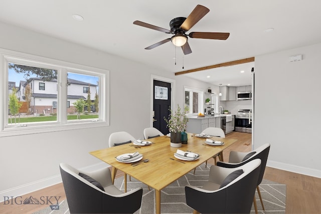 dining area featuring ceiling fan, light hardwood / wood-style floors, and sink