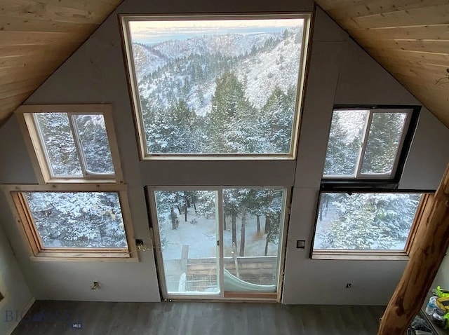 entryway featuring wood ceiling, high vaulted ceiling, hardwood / wood-style flooring, and a healthy amount of sunlight