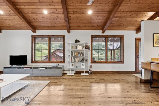 interior space featuring plenty of natural light, wood ceiling, and a baseboard radiator