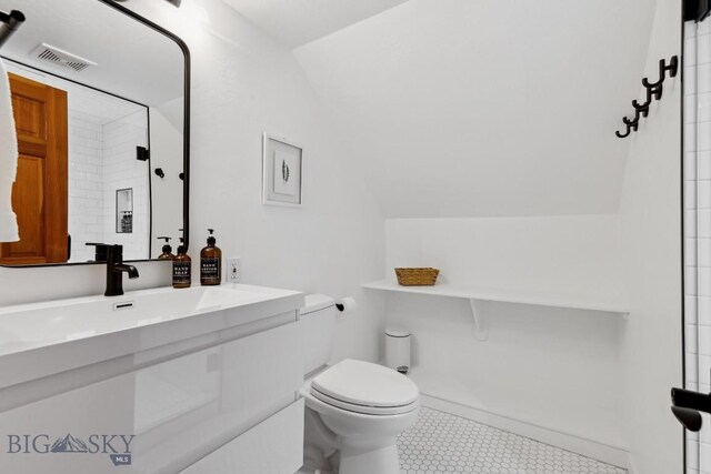 bathroom featuring vanity, toilet, and vaulted ceiling