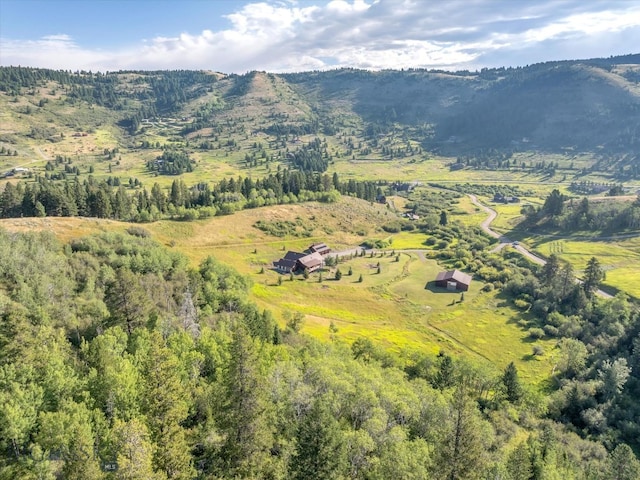 aerial view featuring a mountain view