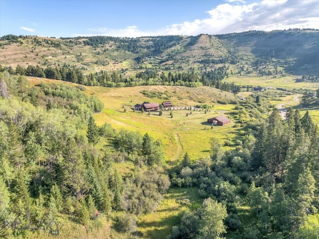 bird's eye view featuring a mountain view