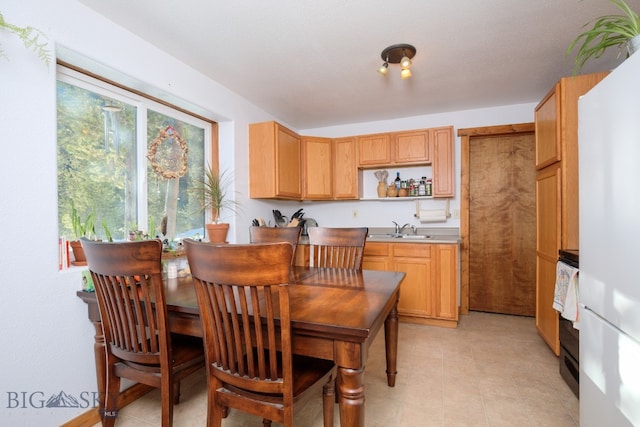 dining area with sink