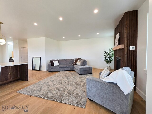 living room with a fireplace and light hardwood / wood-style floors