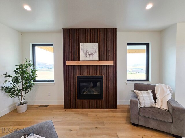 living room featuring a fireplace, light wood-type flooring, and a healthy amount of sunlight