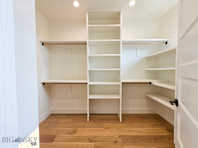 walk in closet featuring light hardwood / wood-style flooring