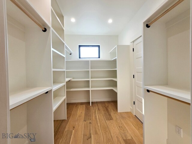 spacious closet featuring light hardwood / wood-style flooring