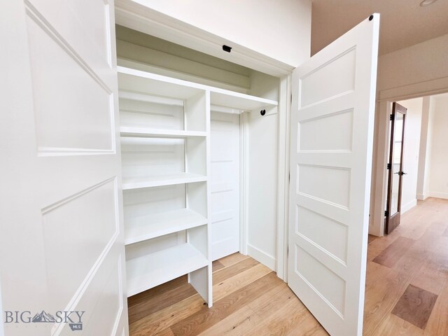 view of closet