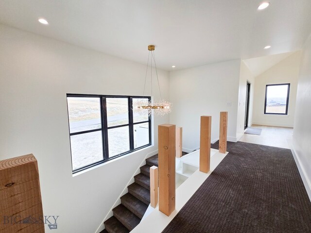 stairs with a healthy amount of sunlight and carpet