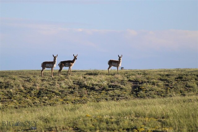 NHN Nitro Rd, Natrona, Wy, WY 82646