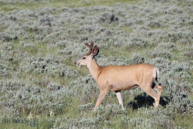 NHN Nitro Rd, Natrona, Wy, WY 82646